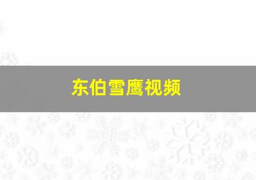 东伯雪鹰视频