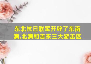 东北抗日联军开辟了东南满,北满和吉东三大游击区