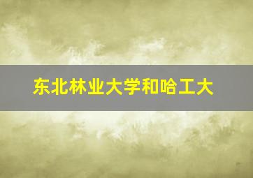 东北林业大学和哈工大