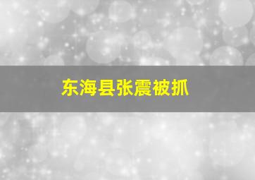 东海县张震被抓