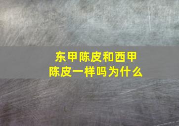 东甲陈皮和西甲陈皮一样吗为什么