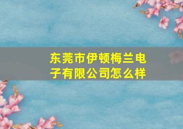 东莞市伊顿梅兰电子有限公司怎么样