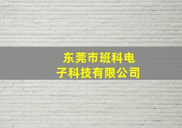 东莞市班科电子科技有限公司