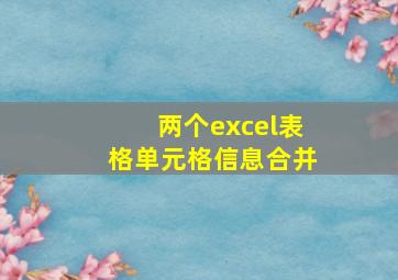 两个excel表格单元格信息合并