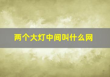 两个大灯中间叫什么网