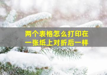 两个表格怎么打印在一张纸上对折后一样