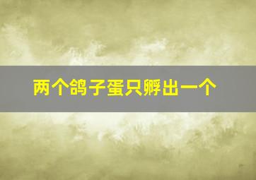 两个鸽子蛋只孵出一个