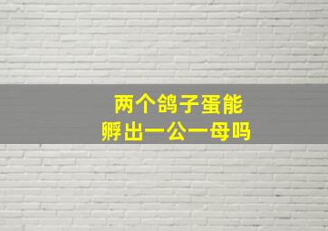 两个鸽子蛋能孵出一公一母吗