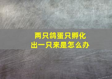 两只鸽蛋只孵化出一只来是怎么办