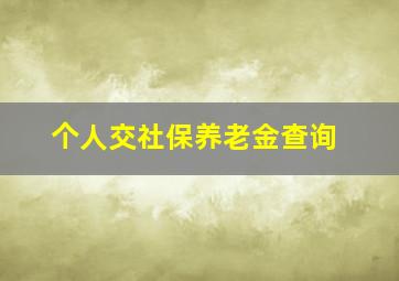 个人交社保养老金查询