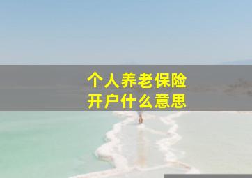 个人养老保险开户什么意思