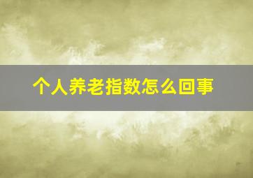 个人养老指数怎么回事