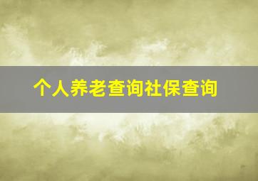 个人养老查询社保查询