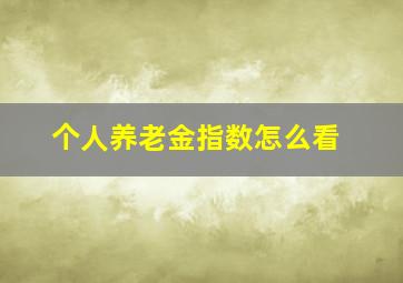 个人养老金指数怎么看