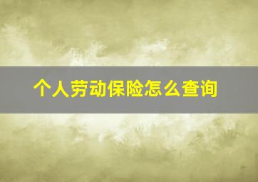 个人劳动保险怎么查询