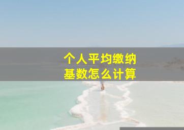 个人平均缴纳基数怎么计算