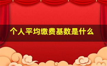 个人平均缴费基数是什么