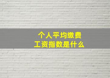 个人平均缴费工资指数是什么