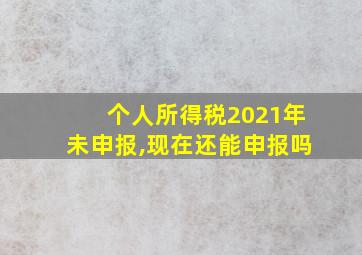 个人所得税2021年未申报,现在还能申报吗