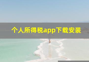 个人所得税app下载安装