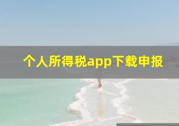 个人所得税app下载申报