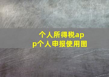 个人所得税app个人申报使用图