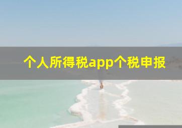 个人所得税app个税申报