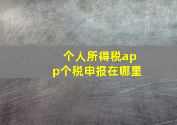 个人所得税app个税申报在哪里