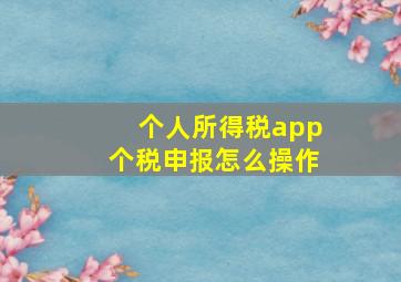 个人所得税app个税申报怎么操作