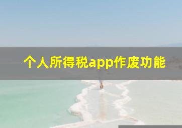 个人所得税app作废功能