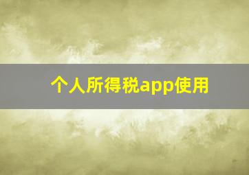 个人所得税app使用