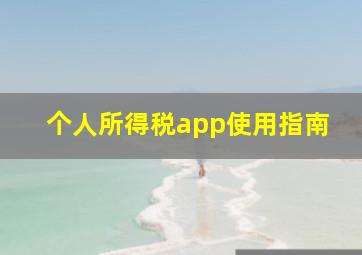 个人所得税app使用指南