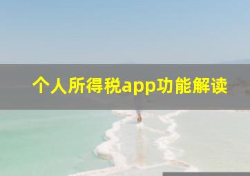 个人所得税app功能解读