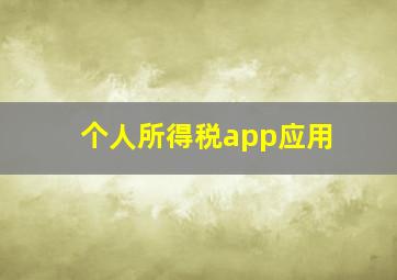 个人所得税app应用