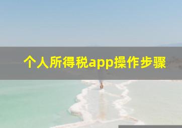 个人所得税app操作步骤