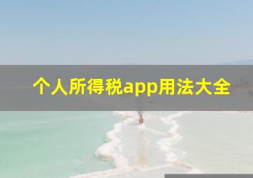 个人所得税app用法大全