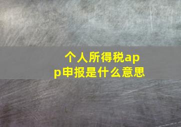 个人所得税app申报是什么意思