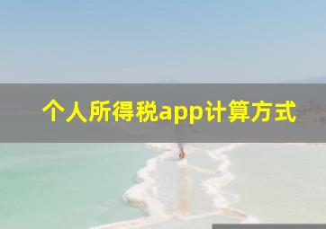 个人所得税app计算方式