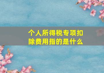 个人所得税专项扣除费用指的是什么