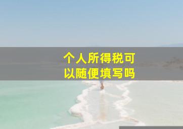 个人所得税可以随便填写吗