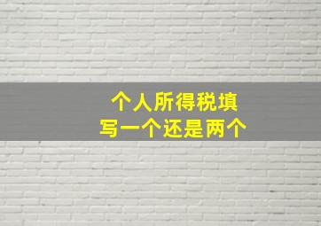 个人所得税填写一个还是两个