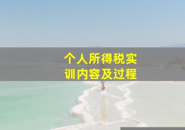 个人所得税实训内容及过程