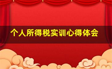 个人所得税实训心得体会