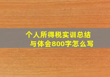 个人所得税实训总结与体会800字怎么写