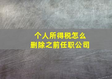 个人所得税怎么删除之前任职公司