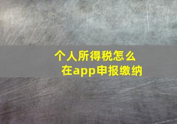 个人所得税怎么在app申报缴纳