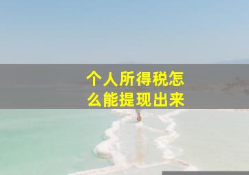 个人所得税怎么能提现出来