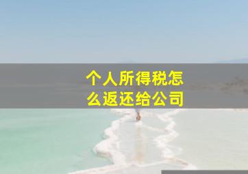 个人所得税怎么返还给公司