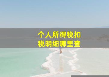 个人所得税扣税明细哪里查