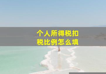 个人所得税扣税比例怎么填